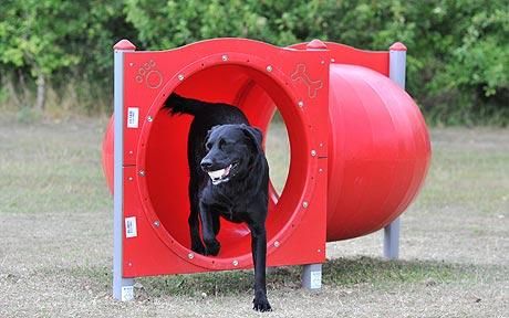 Red dog park tunnel